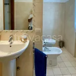 Rent 1 bedroom apartment of 45 m² in Segrate