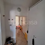 Rent 2 bedroom apartment of 50 m² in Milano