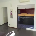 Rent 2 bedroom apartment of 50 m² in Novara