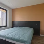 Huur 1 slaapkamer appartement van 58 m² in Rotterdam