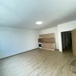 Rent 1 bedroom apartment of 36 m² in Capital City of Prague