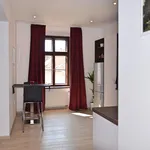 Rent 1 bedroom apartment of 40 m² in Brno