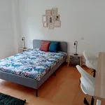 Alugar 10 quarto casa em Coimbra