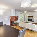 Rent 4 bedroom apartment of 155 m² in Zagreb