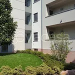 Rent 3 bedroom apartment of 132 m² in Giussano