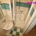 Rent 1 bedroom apartment in České Budějovice