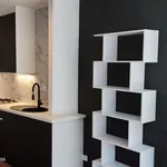 Rent 1 bedroom apartment in Gent