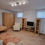 Rent 1 bedroom apartment of 33 m² in Frankfurt