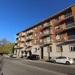 Rent 2 bedroom apartment of 55 m² in Torino