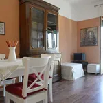 Rent 1 bedroom apartment of 50 m² in milan