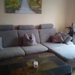 Rent 2 bedroom apartment of 55 m² in Markkleeberg