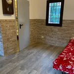 Rent 1 bedroom apartment in Bologna