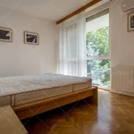 Rent 3 bedroom apartment of 114 m² in Budapest