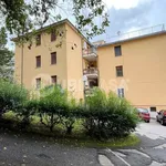 Rent 3 bedroom apartment of 90 m² in Velletri