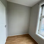 Rent 2 bedroom apartment of 52 m² in Oslo