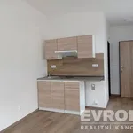 Rent 1 bedroom apartment of 18 m² in Liberec