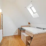 Rent 5 bedroom apartment of 146 m² in Prague