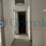 Rent 3 bedroom apartment of 84 m² in Perugia