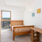 Rent 1 bedroom apartment in South East England