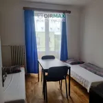 Rent 5 bedroom apartment of 15 m² in  Plzeň město