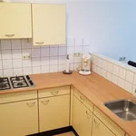 Rent 2 bedroom apartment of 100 m² in Arnhem