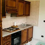 Rent 2 bedroom apartment of 75 m² in Milano