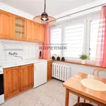 Rent 2 bedroom apartment of 37 m² in Toruń