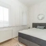 Rent 1 bedroom apartment of 45 m² in Budapest