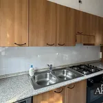 Rent 3 bedroom apartment of 100 m² in Novara