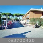 Affitto 1 camera appartamento di 35 m² in Roma