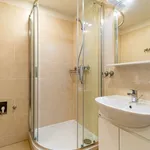 Rent 1 bedroom apartment of 26 m² in Prague