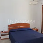 Rent 3 bedroom apartment of 70 m² in Alba Adriatica