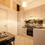 Rent 1 bedroom apartment of 30 m² in Bologna