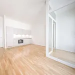 Rent 2 bedroom apartment of 54 m² in Dresden