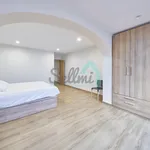 Rent 4 bedroom apartment of 155 m² in Oviedo