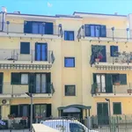 Rent 2 bedroom apartment of 55 m² in Velletri