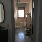 Rent 1 bedroom apartment of 20 m² in napoli