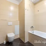 Rent 2 bedroom apartment in Praha 5