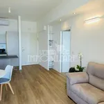 Rent 3 bedroom apartment of 90 m² in Genoa