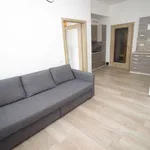 Pronajměte si 2 ložnic/e byt o rozloze 46 m² v Prague