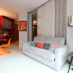 Rent 1 bedroom apartment of 55 m² in madrid