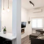 Rent 1 bedroom apartment in madrid