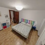 Affitto 2 camera appartamento di 65 m² in Viareggio