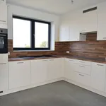 Rent 1 bedroom apartment in Zottegem