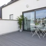 Rent 1 bedroom apartment of 45 m² in Antwerpen