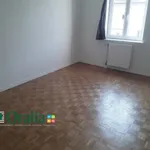 Rent 3 bedroom apartment of 7954 m² in LYON