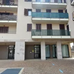 Rent 4 bedroom apartment of 90 m² in Settimo Torinese