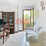 Rent 3 bedroom apartment of 70 m² in Treviso