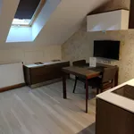 Pronajměte si 1 ložnic/e byt o rozloze 20 m² v Prague