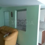 Rent 3 bedroom apartment of 100 m² in Caserta